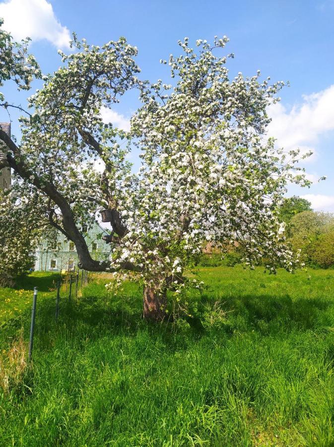 Polny Zakatek - Pokoje Goscinne Rybnica Kültér fotó